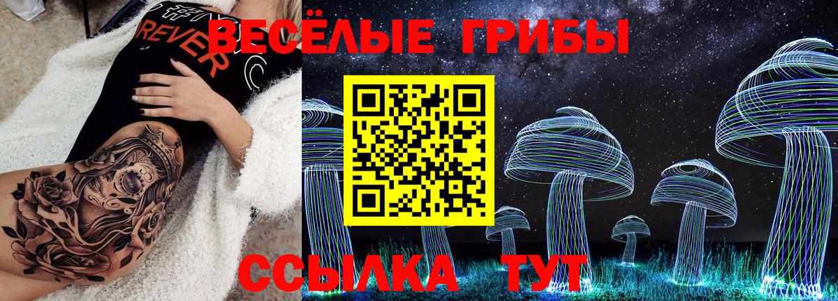 Галлюциногенные грибы GOLDEN TEACHER  купить   Норильск  Вход с VPN 