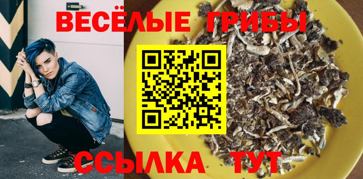 Псилоцибиновые грибы Magic Shrooms Норильск